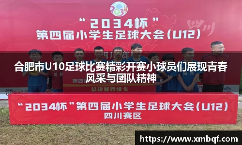 三亿体育官方网站